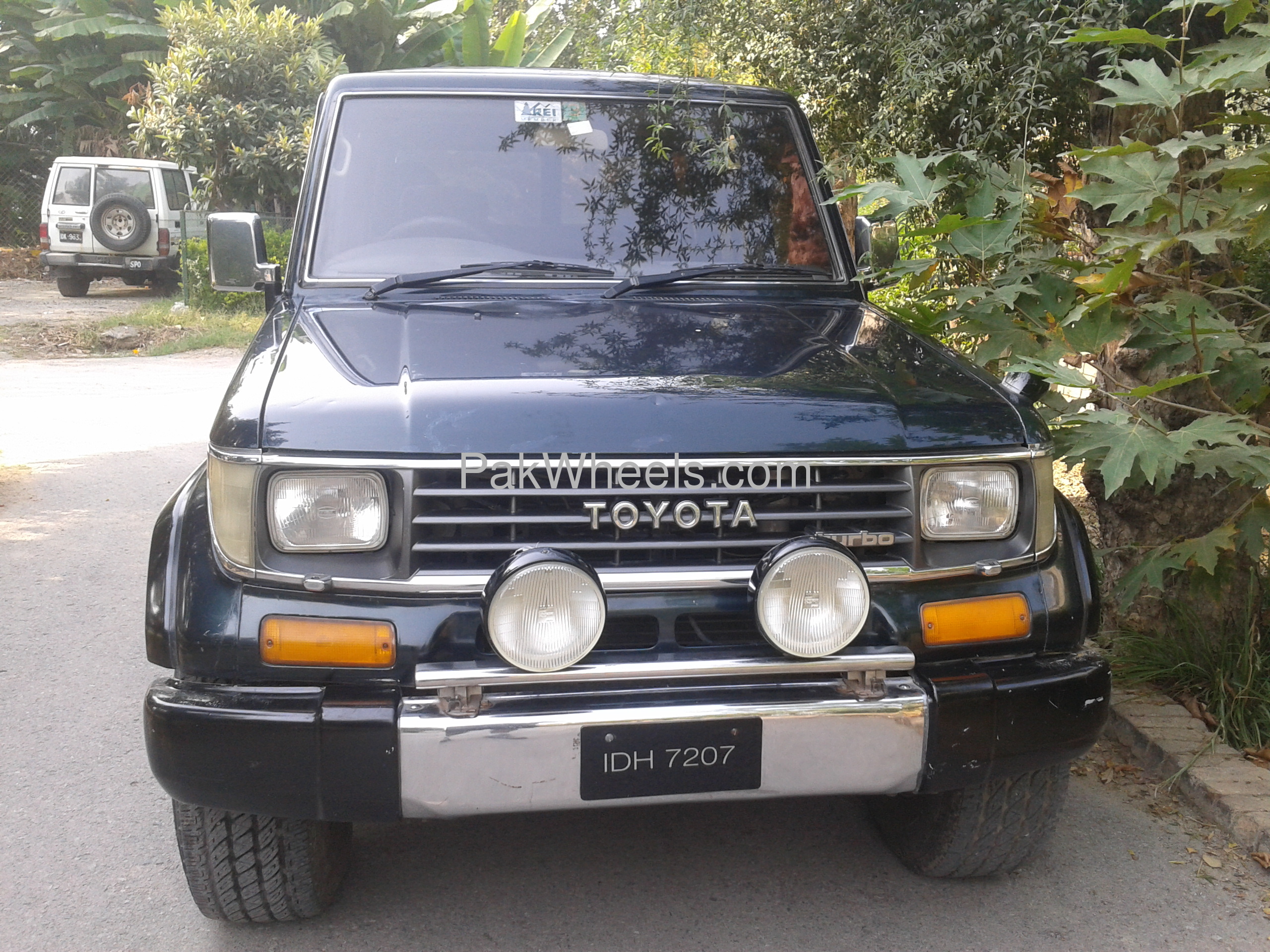 Prado 1994