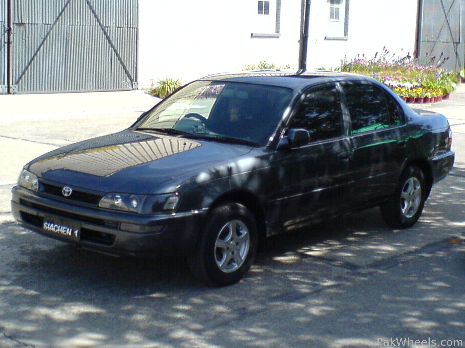 Toyota Corolla - 1998 Silver Image-1