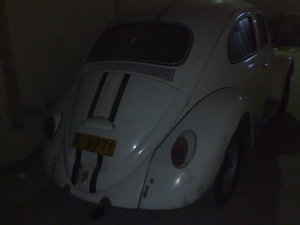 Volkswagen Beetle - 1964