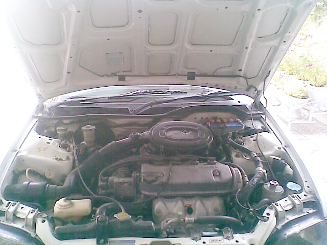 Honda Civic - 1994 beauty Honda Civic - 1994 beauty Image-4