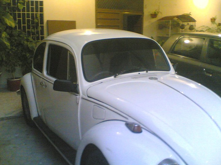 Volkswagen Beetle - 1971 Bugzyyy  Volkswagen Beetle - 1971 Bugzyyy  Image-2