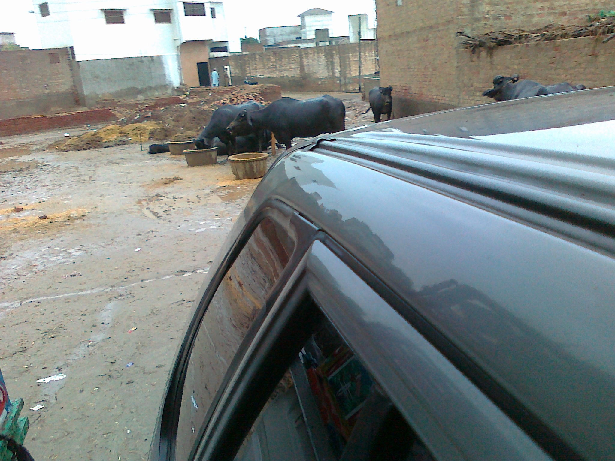 Suzuki Khyber - 1998 HUR Suzuki Khyber - 1998 HUR Image-4