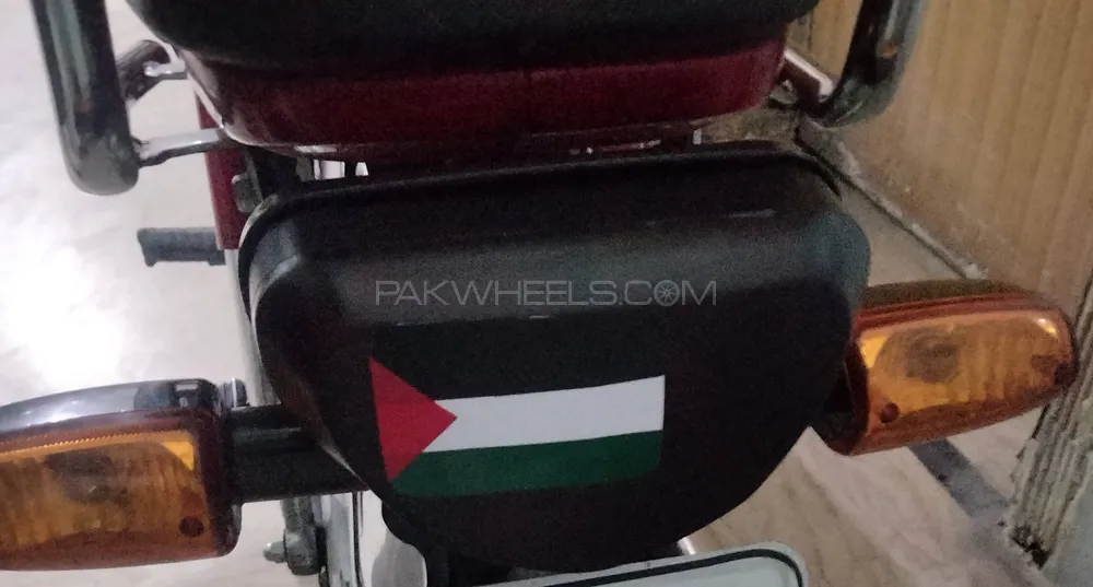 rear light genuine cover with mat black wrap and Palestinian Image-1