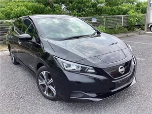 Nissan Leaf 2021 for Sale