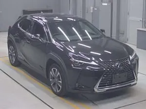 Lexus UX  300e 2021 for Sale