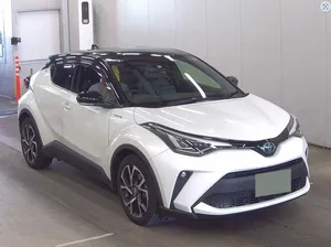 Toyota C-HR G-LED 2019 for Sale