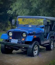 Jeep CJ 5 1980 for Sale