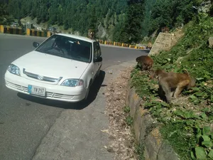 Suzuki Cultus EURO II 2013 for Sale