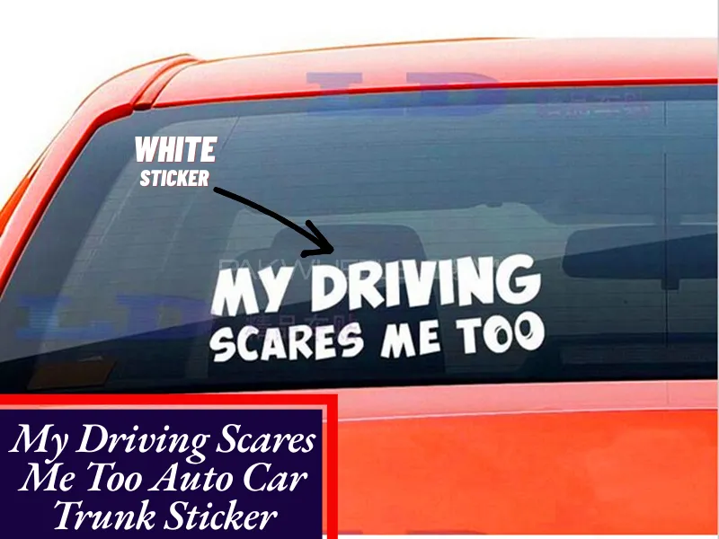 1pc MY DRIVING SCARES ME TOO Car White Stickers Auto Hoods Trunk Rear Window Body Bumper Warning Image-1
