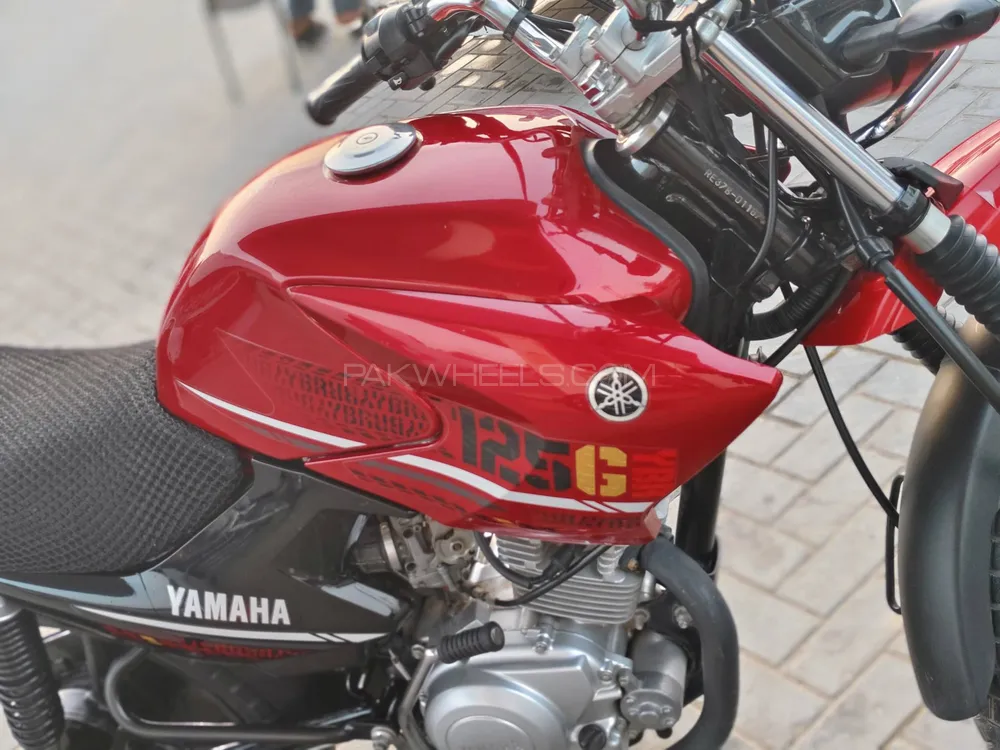 Yamaha YBR 125 2022 for Sale Image-1