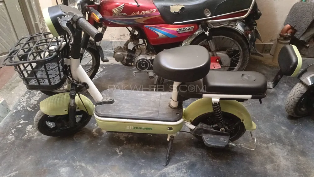 Evee Flipper 2024 for Sale Image-1