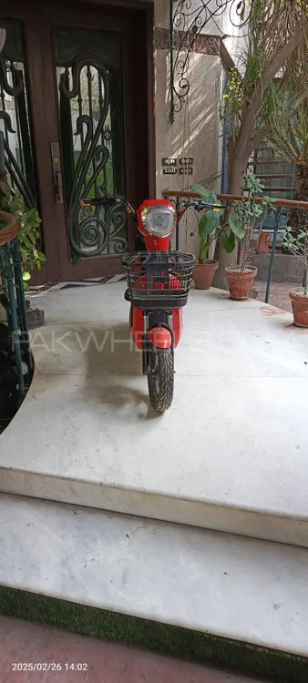 Chinese Bikes Other 2024 for Sale Image-1