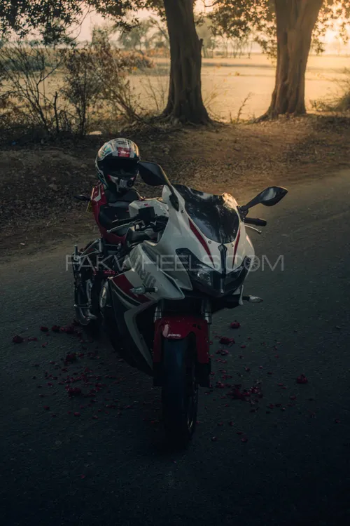 Benelli 302 R 2018 for Sale Benelli 302 R 2018 for Sale Image-8
