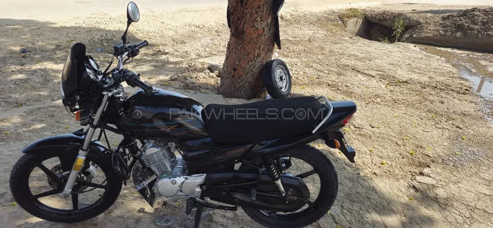 Yamaha YB 125Z-DX 2022 for Sale Image-1
