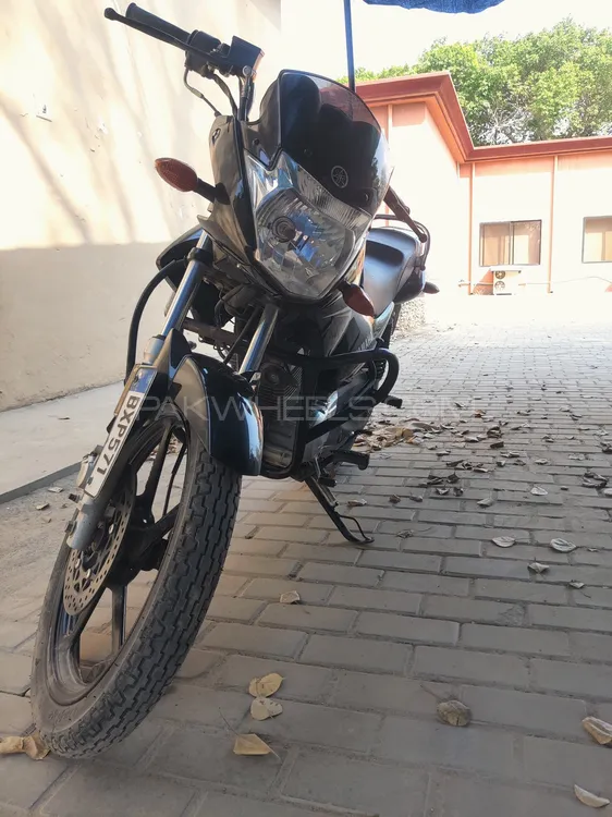Yamaha YBR 125 2022 for Sale Image-1