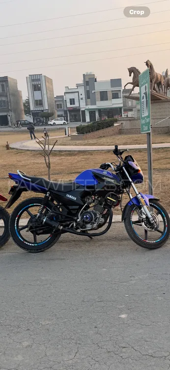 Yamaha YBR 125 2019 for Sale Image-1