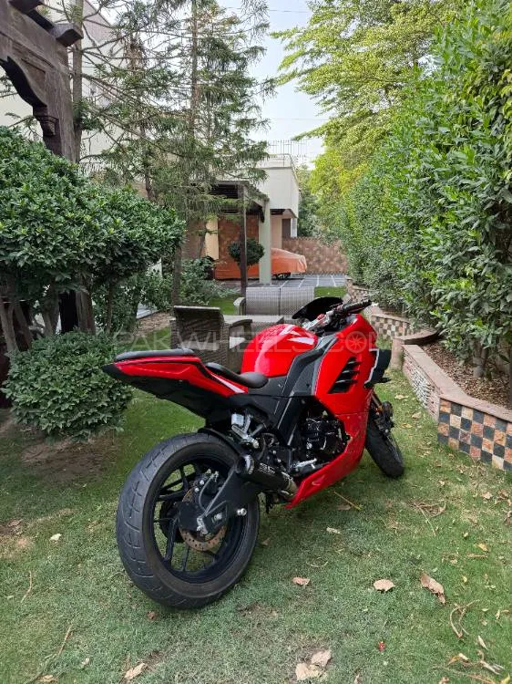 Chinese Bikes Other 2024 for Sale Image-1