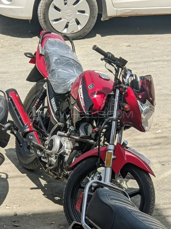 Yamaha YBR 125 2021 for Sale Image-1