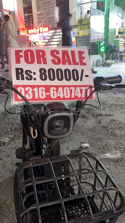 Evee Flipper 2025 for Sale Image-1