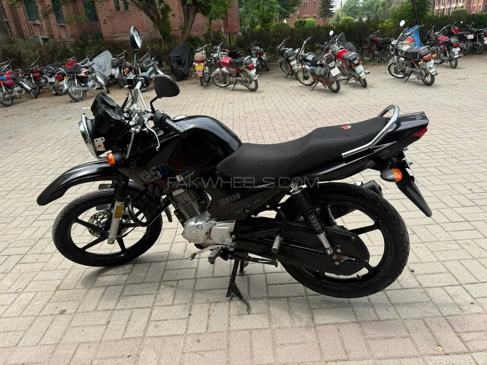 Yamaha YBR 125 2023 for Sale Image-1