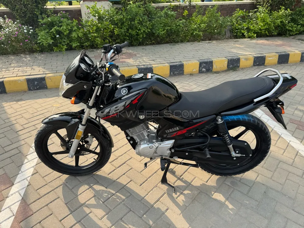 Yamaha YBR 125 2025 for Sale Image-1