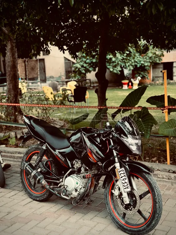 Yamaha YBR 125 2021 for Sale Image-1