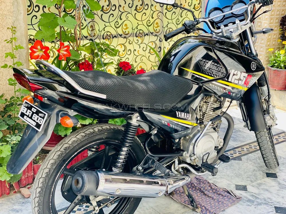 Yamaha YBR 125 2022 for Sale Image-1