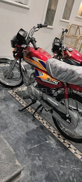 Honda CD 70 2024 for Sale Image-1
