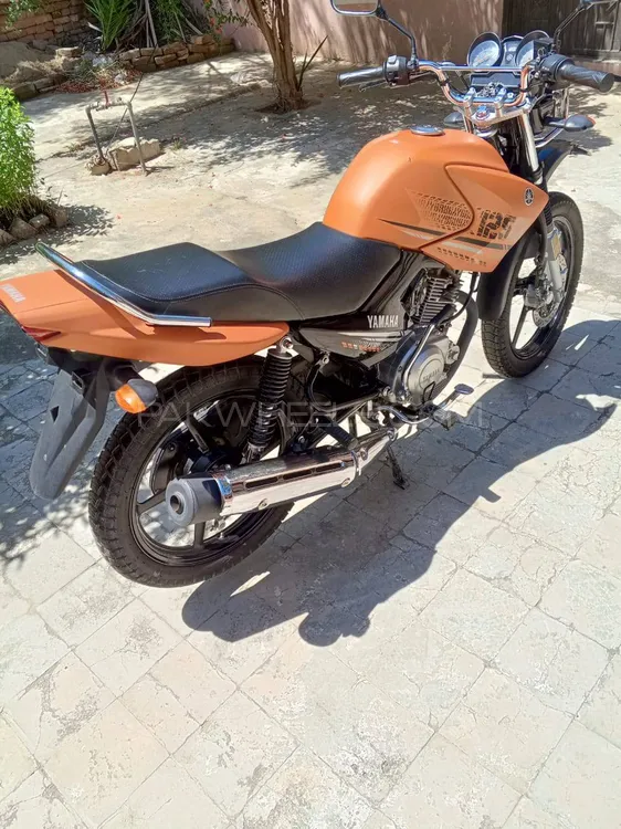 Yamaha YBR 125 2023 for Sale Image-1