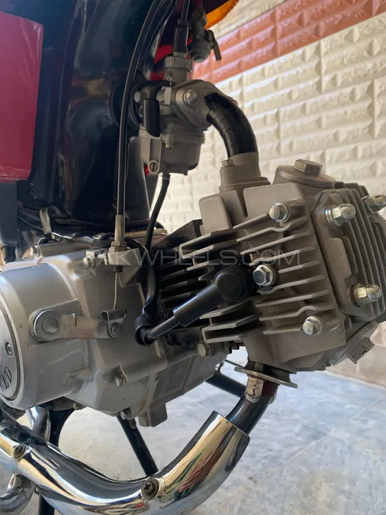 Bionic 70 cc 2020 for Sale Image-1