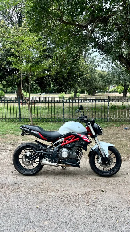 بنیلی 302S 2024 for Sale Image-1