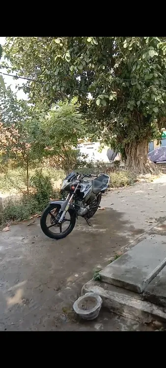 Yamaha YBR 125 2015 for Sale Image-1