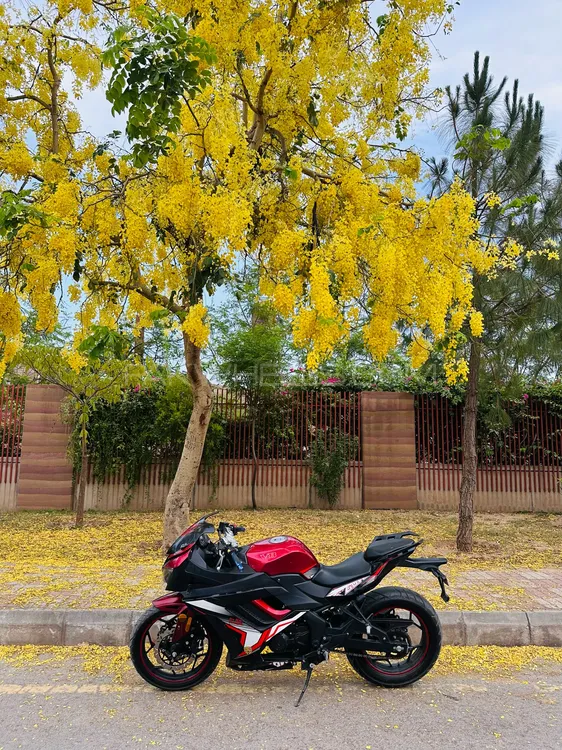 Chinese Bikes OW Ninja 250cc 2021 for Sale Image-1