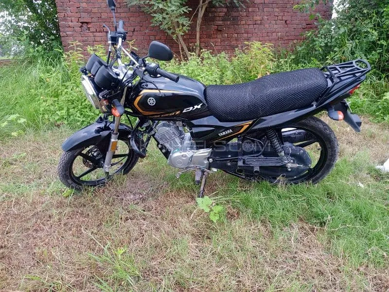 Yamaha YBR 125 2024 for Sale Image-1