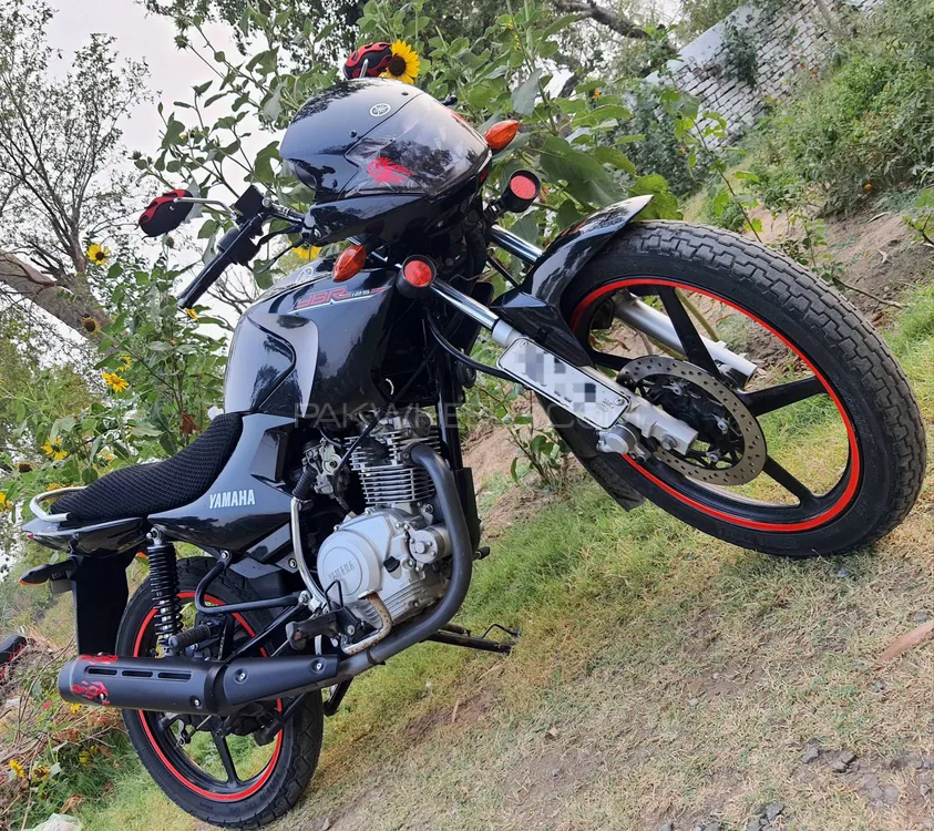Yamaha YBR 125 2021 for Sale Image-1