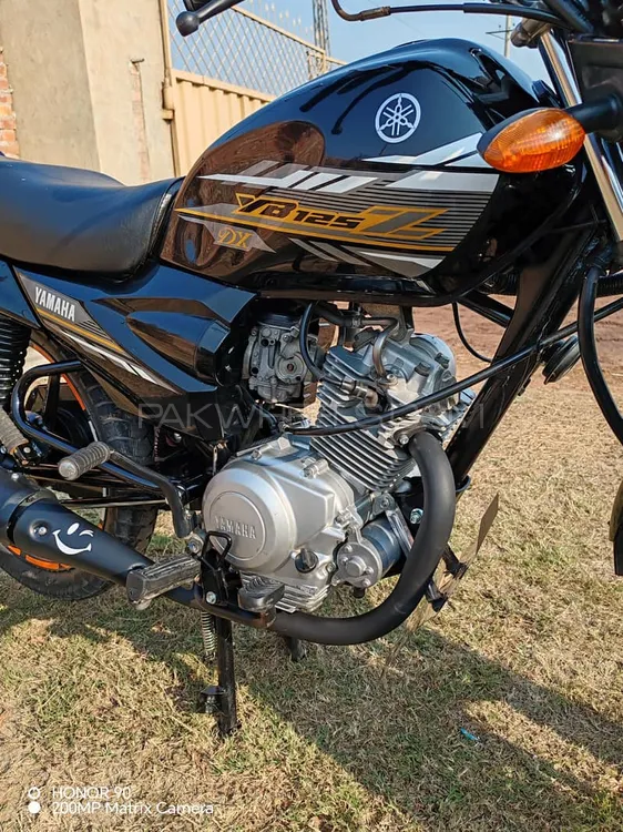 Yamaha YB 125Z-DX 2021 for Sale Image-1