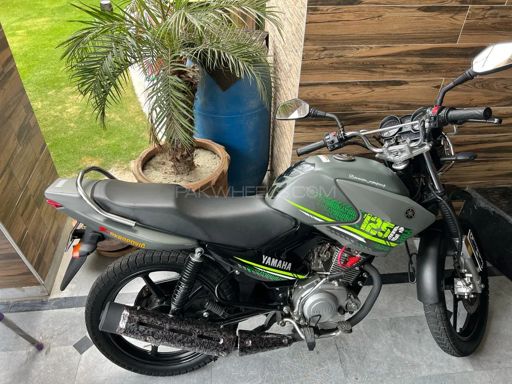 Yamaha YBR 125 2023 for Sale Image-1