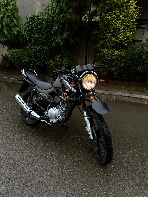Yamaha YBR 125 2024 for Sale Image-1