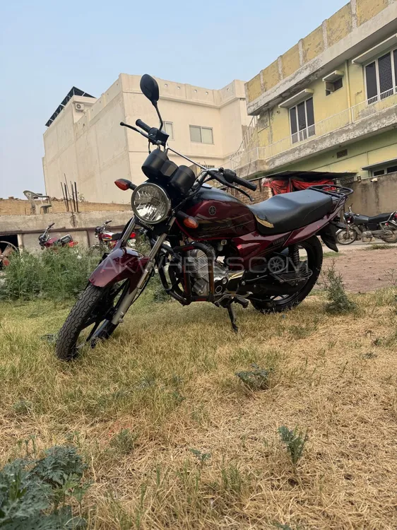 Yamaha YBR 125 2023 for Sale Image-1