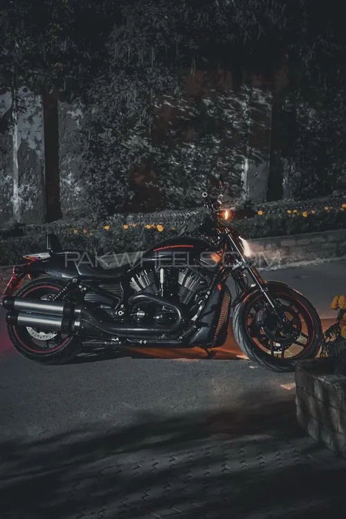 Harley Davidson Night Rod Special 2015 for Sale Image-1