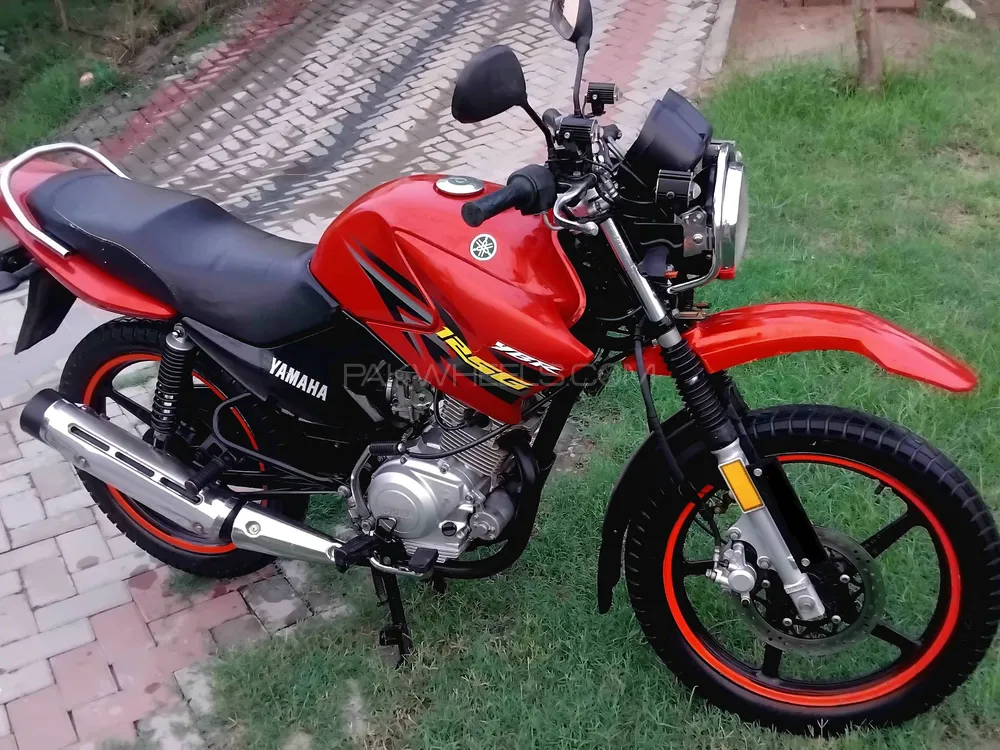 Yamaha YBR 125 2019 for Sale Image-1