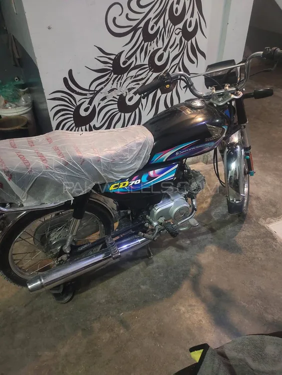Honda CD 70 2024 for Sale Image-1