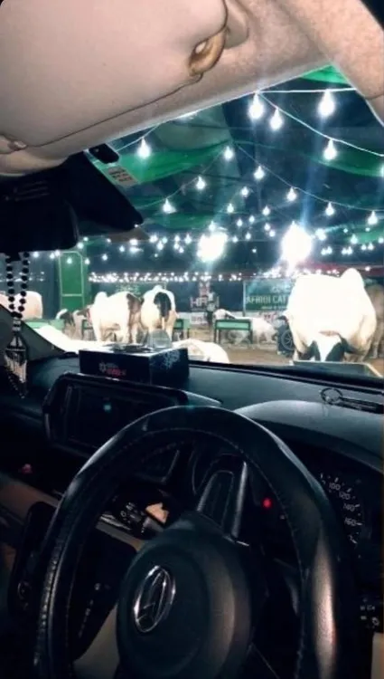 Toyota Passo 2019 for Sale in Karachi Image-1