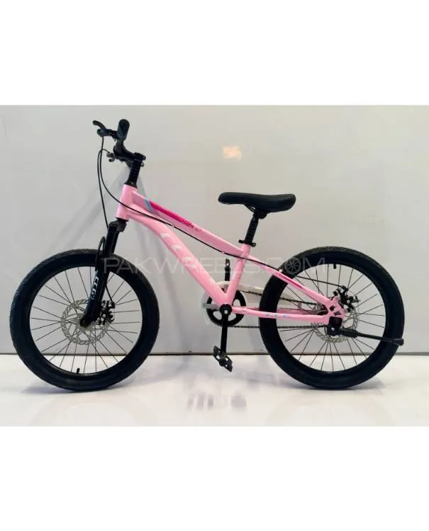 CCG 20" Girls Bicycle – Elegant Pink | Stylish & Safe Ride Image-1