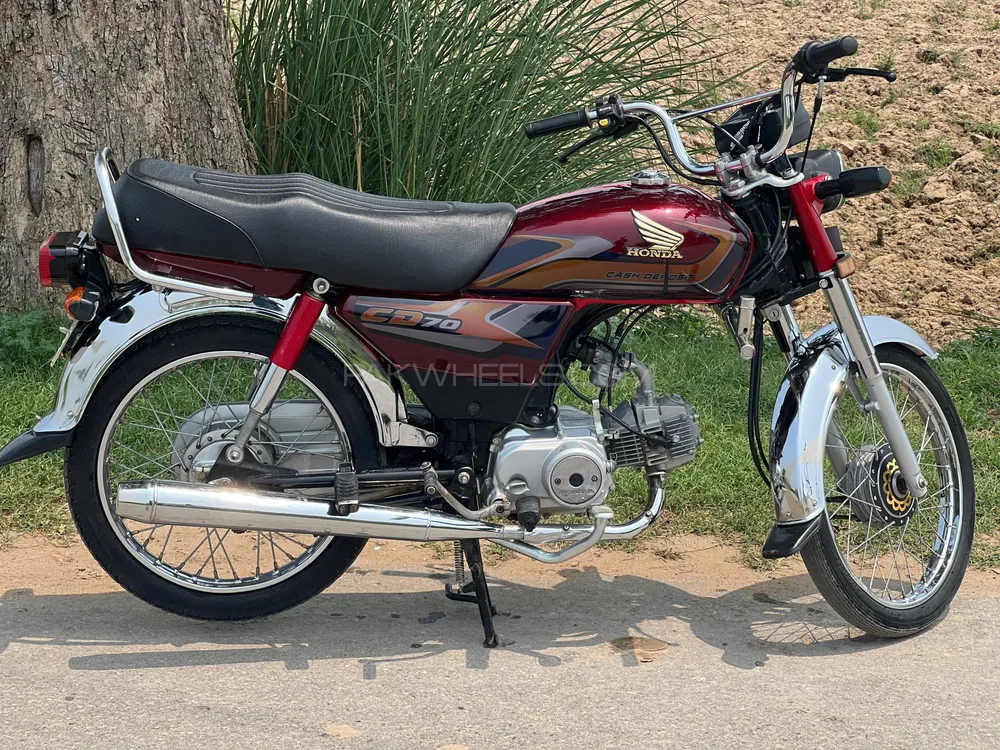 Honda CD 70 2024 for Sale Image-1