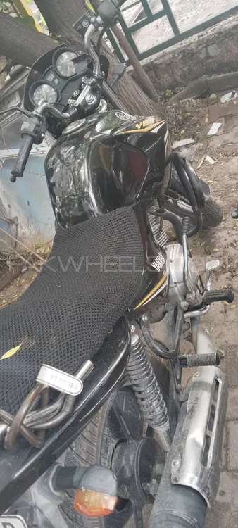 Yamaha YBR 125 2023 for Sale Image-1