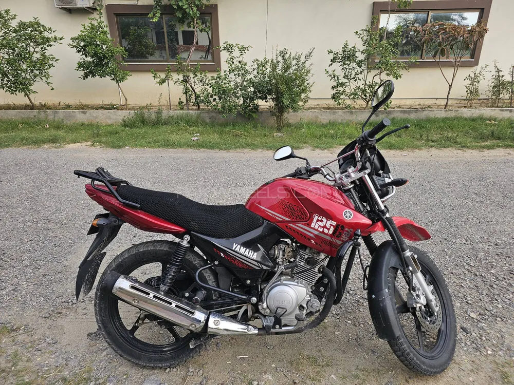 Yamaha YBR 125 2023 for Sale Image-1