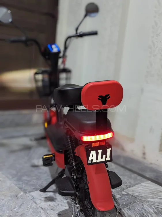 Evee Flipper 2024 for Sale Image-1