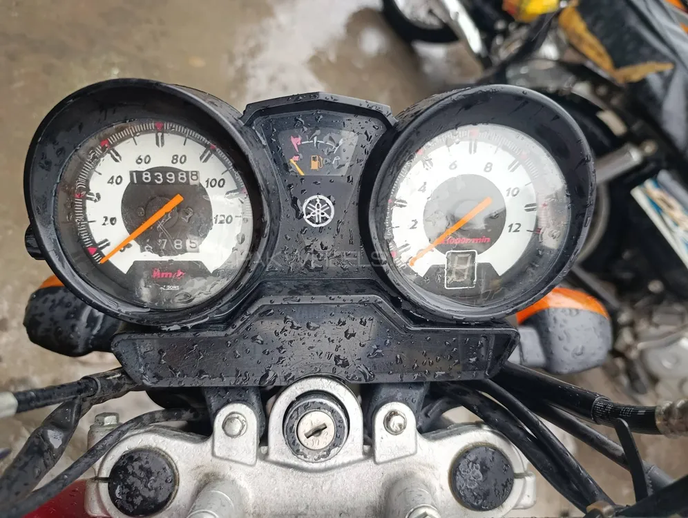 Yamaha YBR 125 2022 for Sale Image-1