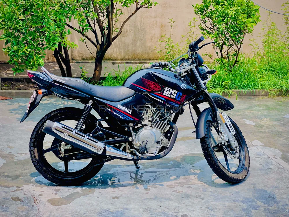 Yamaha YBR 125 2023 for Sale Image-1
